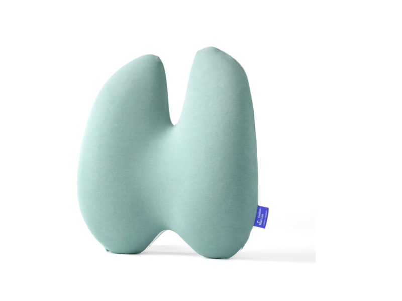 Adjustable Back Support Pillow (Seated Comfort)