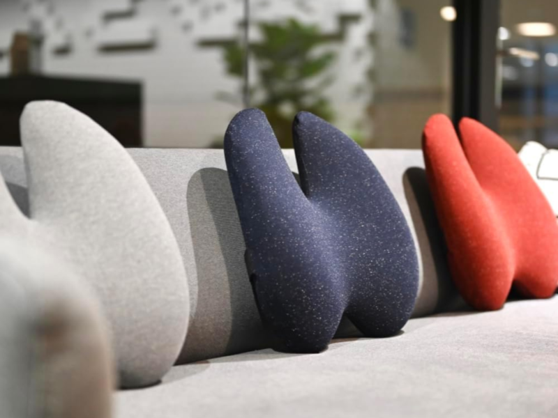 Adjustable Back Support Pillow (Seated Comfort)